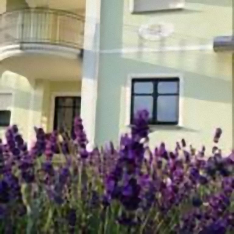 Bed & Breakfast Eremes Cuneo